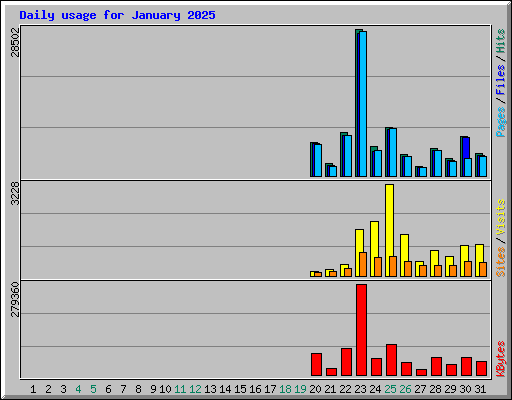 Daily usage for January 2025