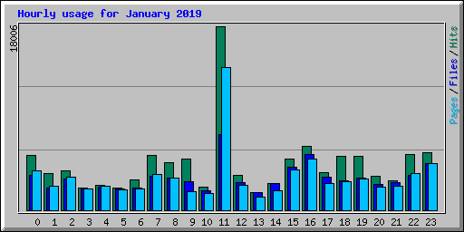 Hourly usage for January 2019