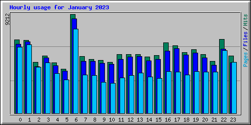 Hourly usage for January 2023