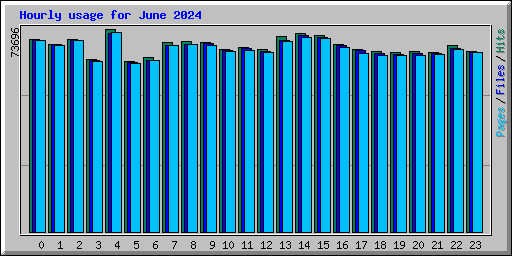Hourly usage for June 2024