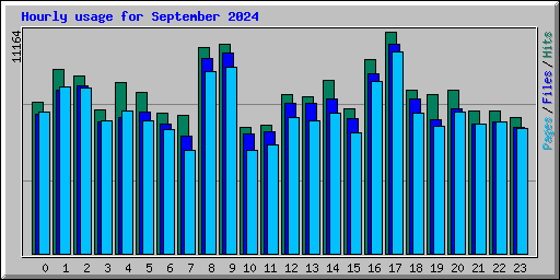 Hourly usage for September 2024
