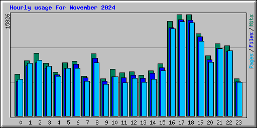 Hourly usage for November 2024
