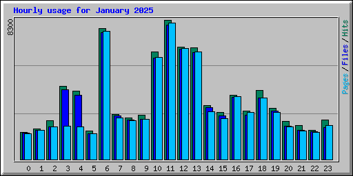 Hourly usage for January 2025