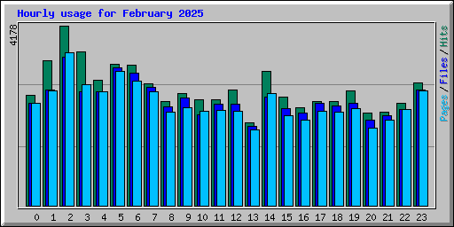 Hourly usage for February 2025