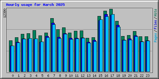 Hourly usage for March 2025
