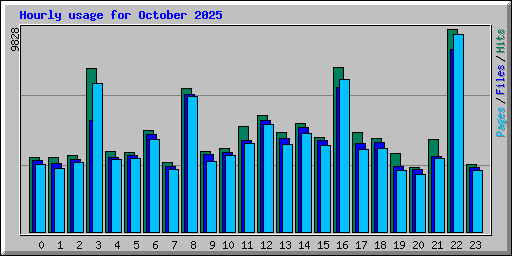 Hourly usage for October 2025