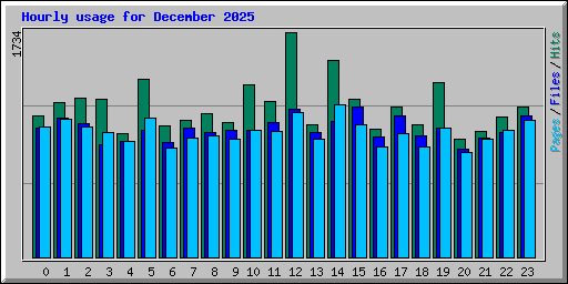 Hourly usage for December 2025