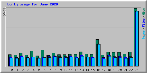 Hourly usage for June 2026