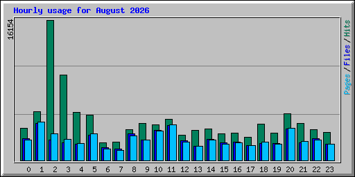 Hourly usage for August 2026